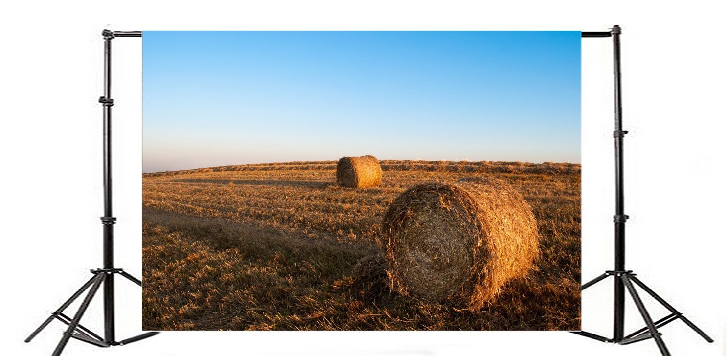 Hay Bale Straw Stack Photography Background 7x5ft Polyester Photo Backdrop Wheat Stack Wheat Field Farm Agriculture Farmland Countryside Hay Wheel Heavest Rural Field Backdrop Blue Sky